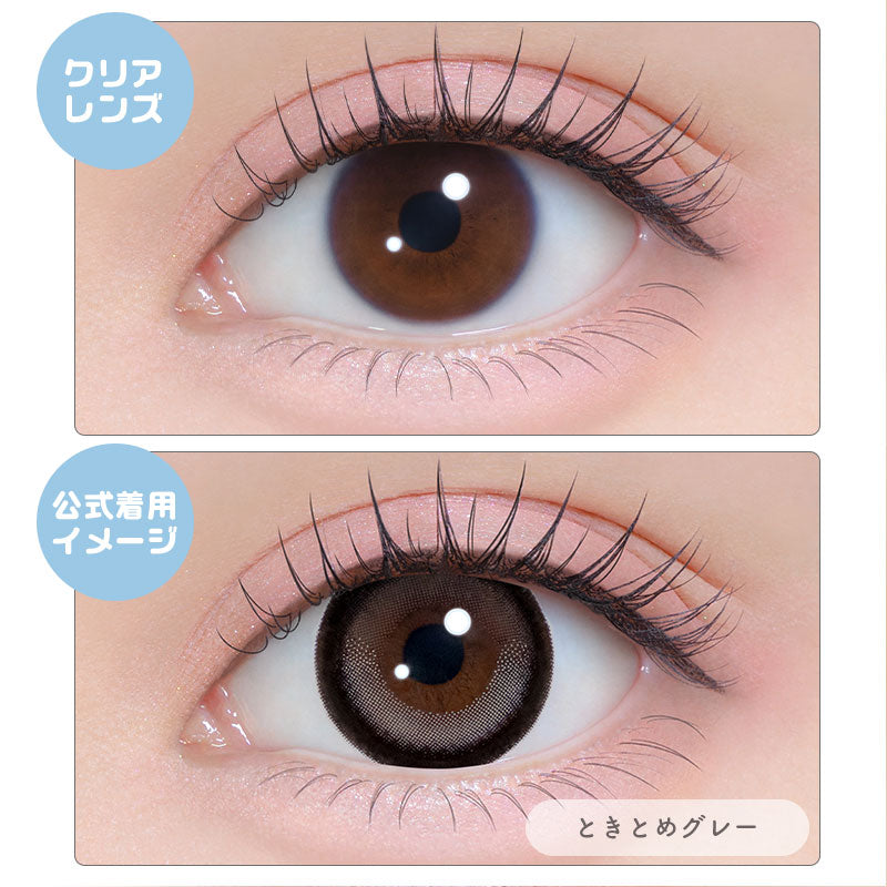 シャプン (1箱10枚入)ときとめグレー