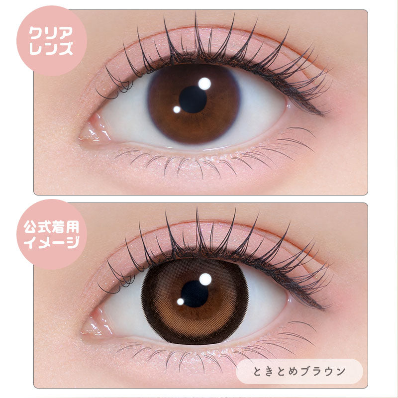 シャプン （1箱10枚入）ときとめブラウン – eye shop Five