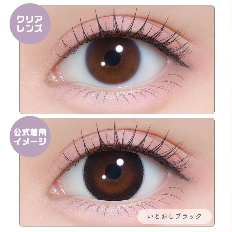 シャプン （1箱10枚入）いとおしブラック