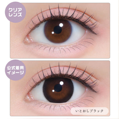 シャプン （1箱10枚入）いとおしブラック