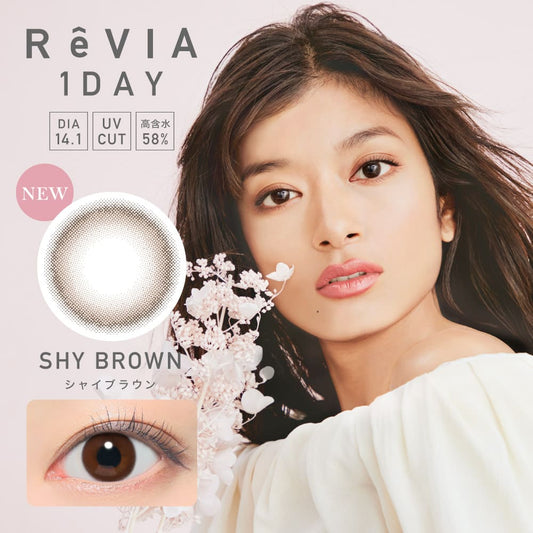 レヴィアワンデー（1箱10枚入）シャイブラウン