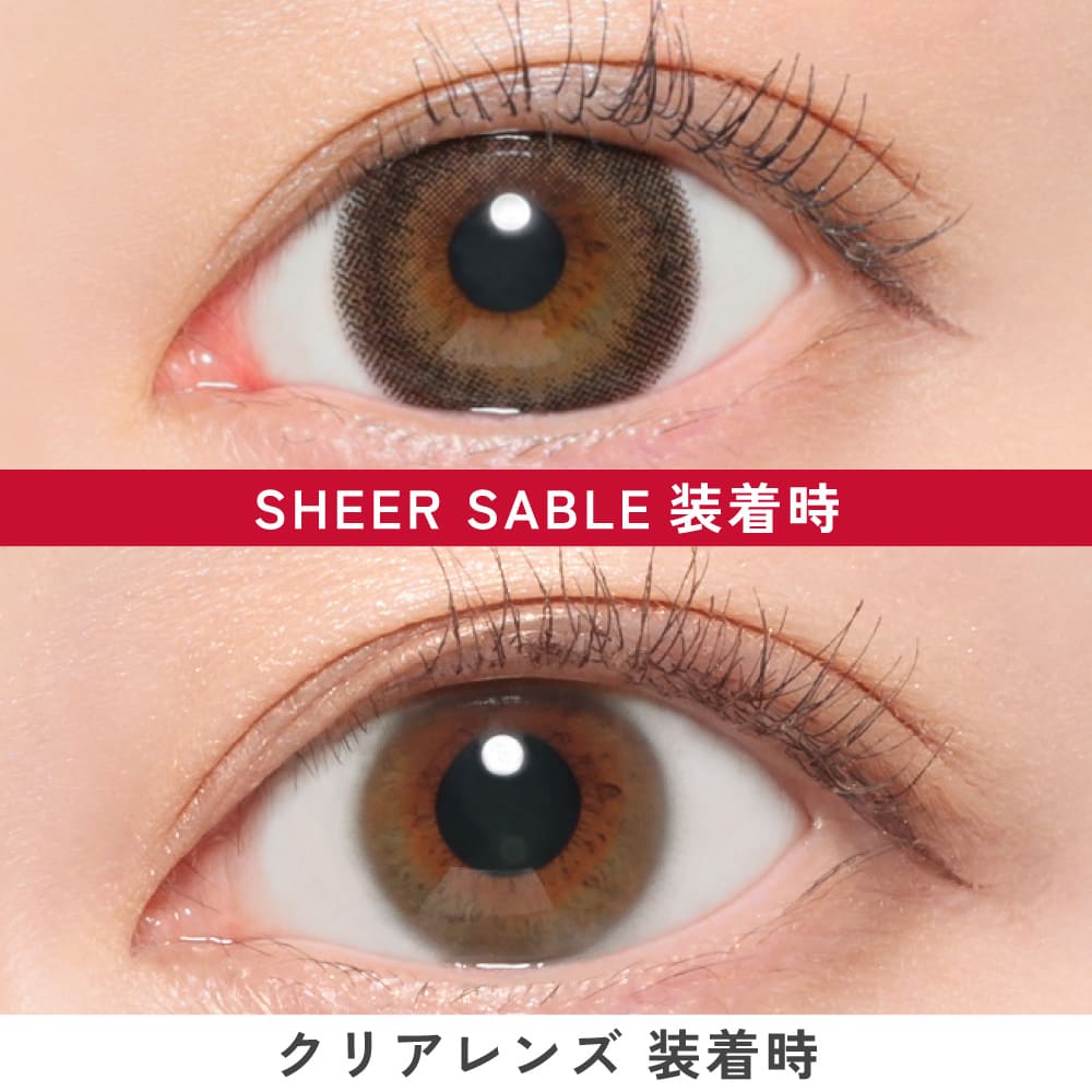 ファビュラス マンスリー（1箱2枚入）シアーセーブル