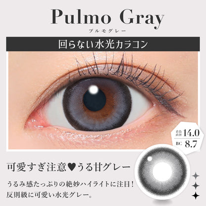 シークレットキャンディーマジックワンデー（1箱20枚入）プルモグレー