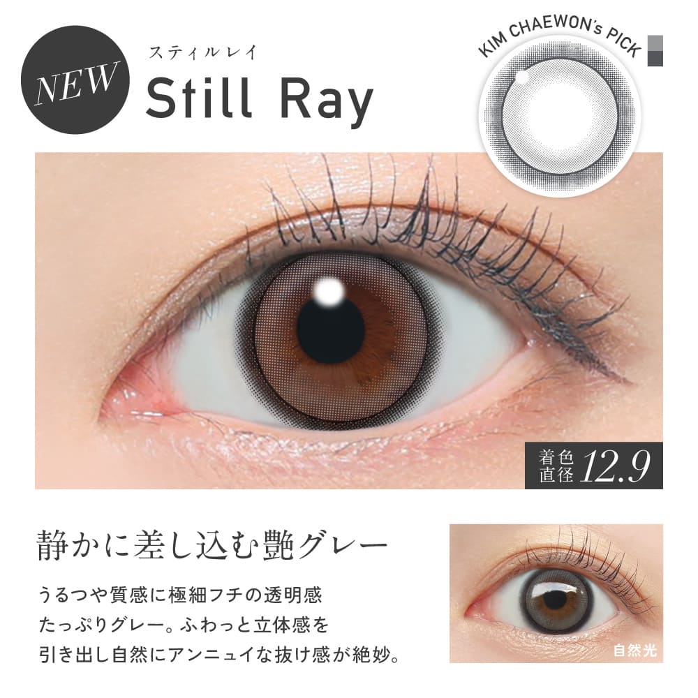 レヴィアワンデー（1箱10枚入）スティルレイ – eye shop Five