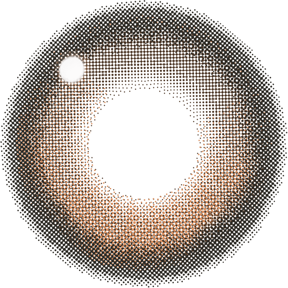 ファビュラス ワンデー（1箱10枚入）バターブラウン