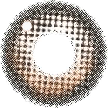 ファビュラス ワンデー（1箱10枚入）バターブラウン