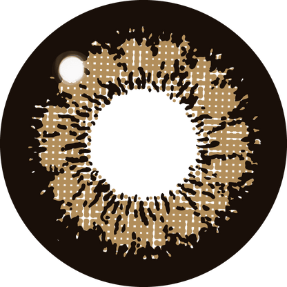 ファビュラス ワンデー（1箱10枚入）キングブラウン