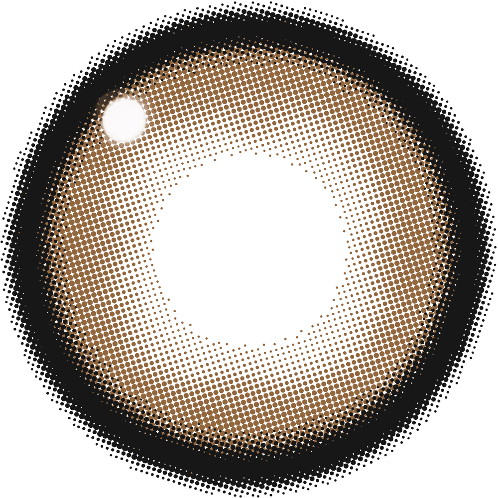 ファビュラス ワンデー（1箱10枚入）メロブラウン