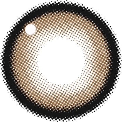 ファビュラス ワンデー（1箱10枚入）メロブラウン