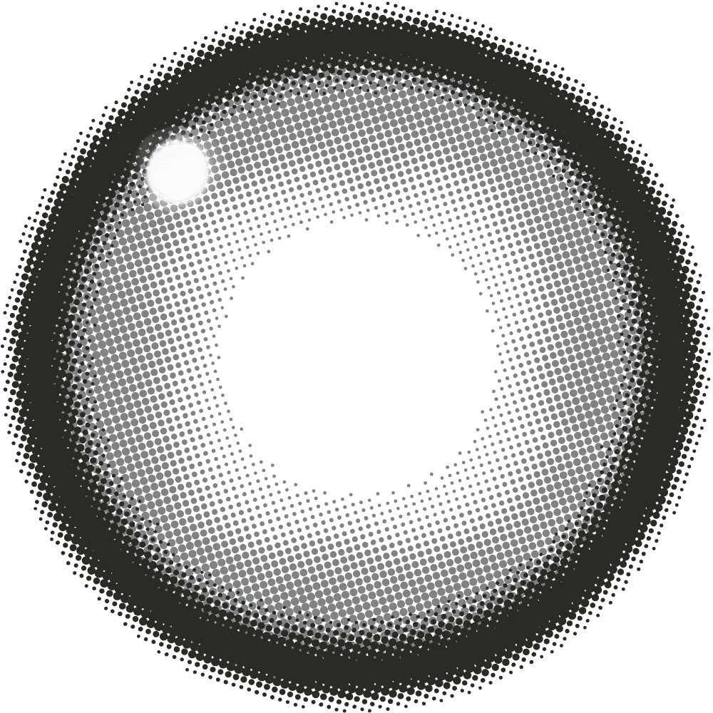 ファビュラス ワンデー（1箱10枚入）メログレー