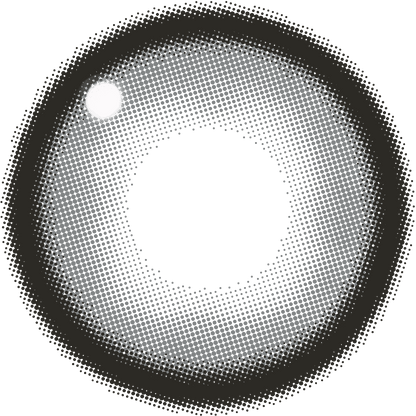 ファビュラス ワンデー（1箱10枚入）メログレー