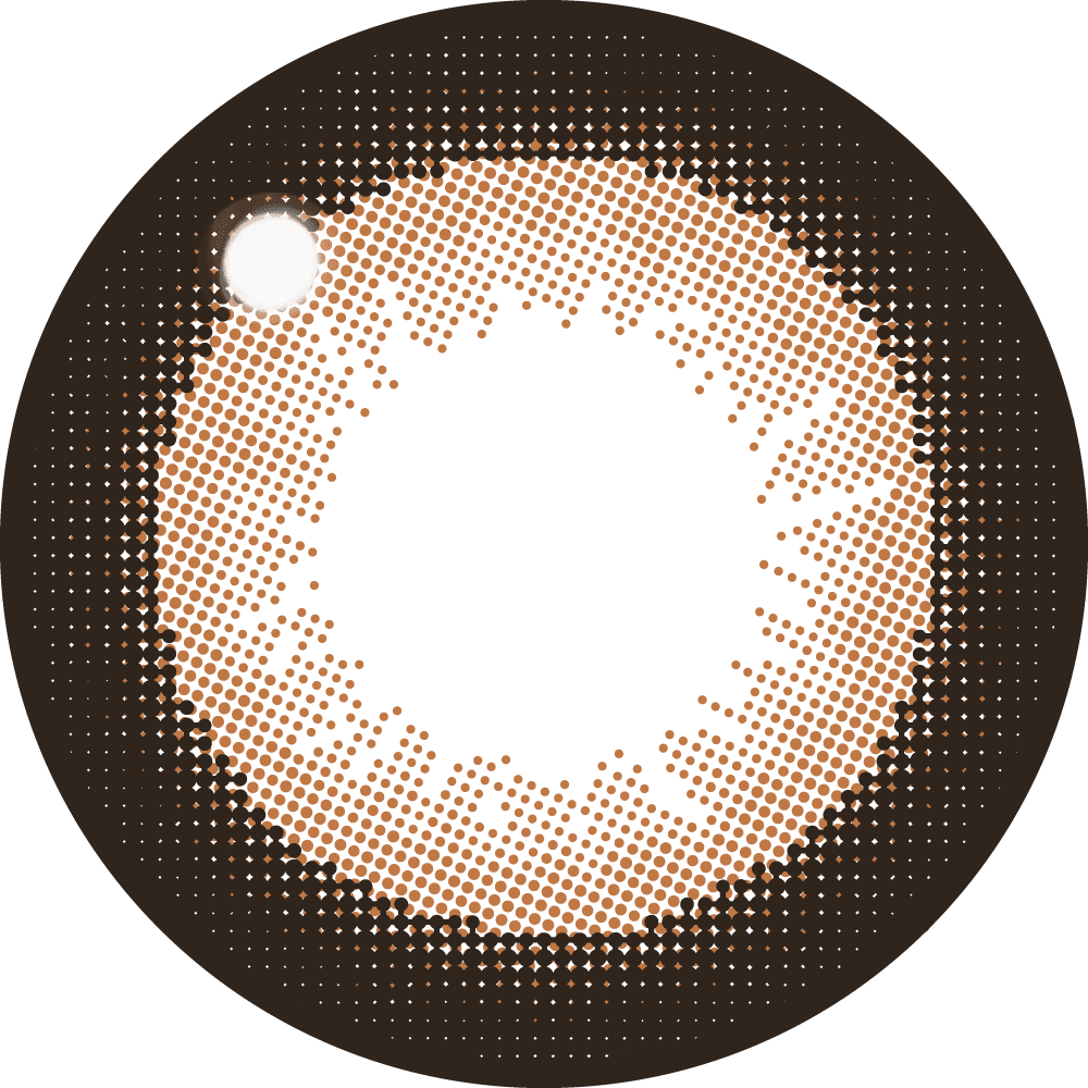 ファビュラス ワンデー（1箱10枚入）NO.3 ブラウン