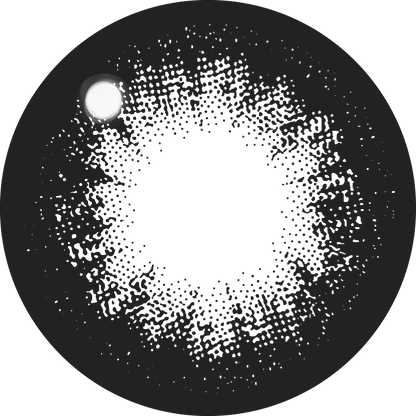 ファビュラス ワンデー（1箱10枚入）NO.5 ブラック