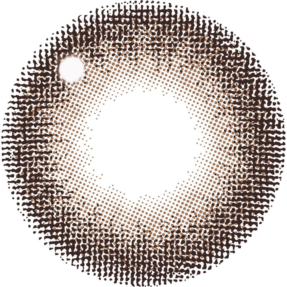 ファビュラス ワンデー（1箱10枚入）シアーセーブル