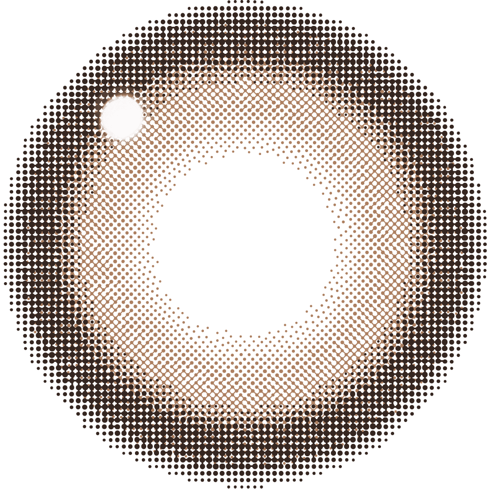 ファビュラス ワンデー（1箱10枚入）バニラブラウン