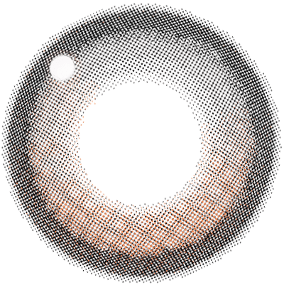ファビュラス マンスリー（1箱2枚入）バターブラウン
