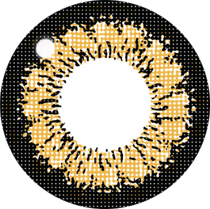 ファビュラス マンスリー（1箱2枚入）キングブラウン