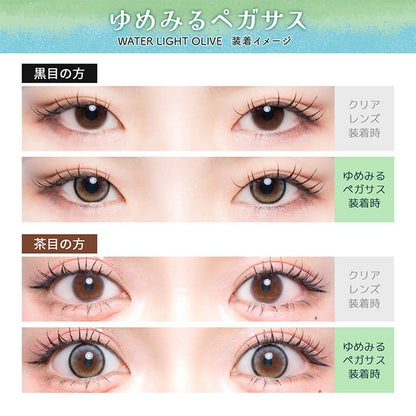 フルーリー（1箱10枚入）ゆめみるペガサス(ウォーターライトオリーブ)