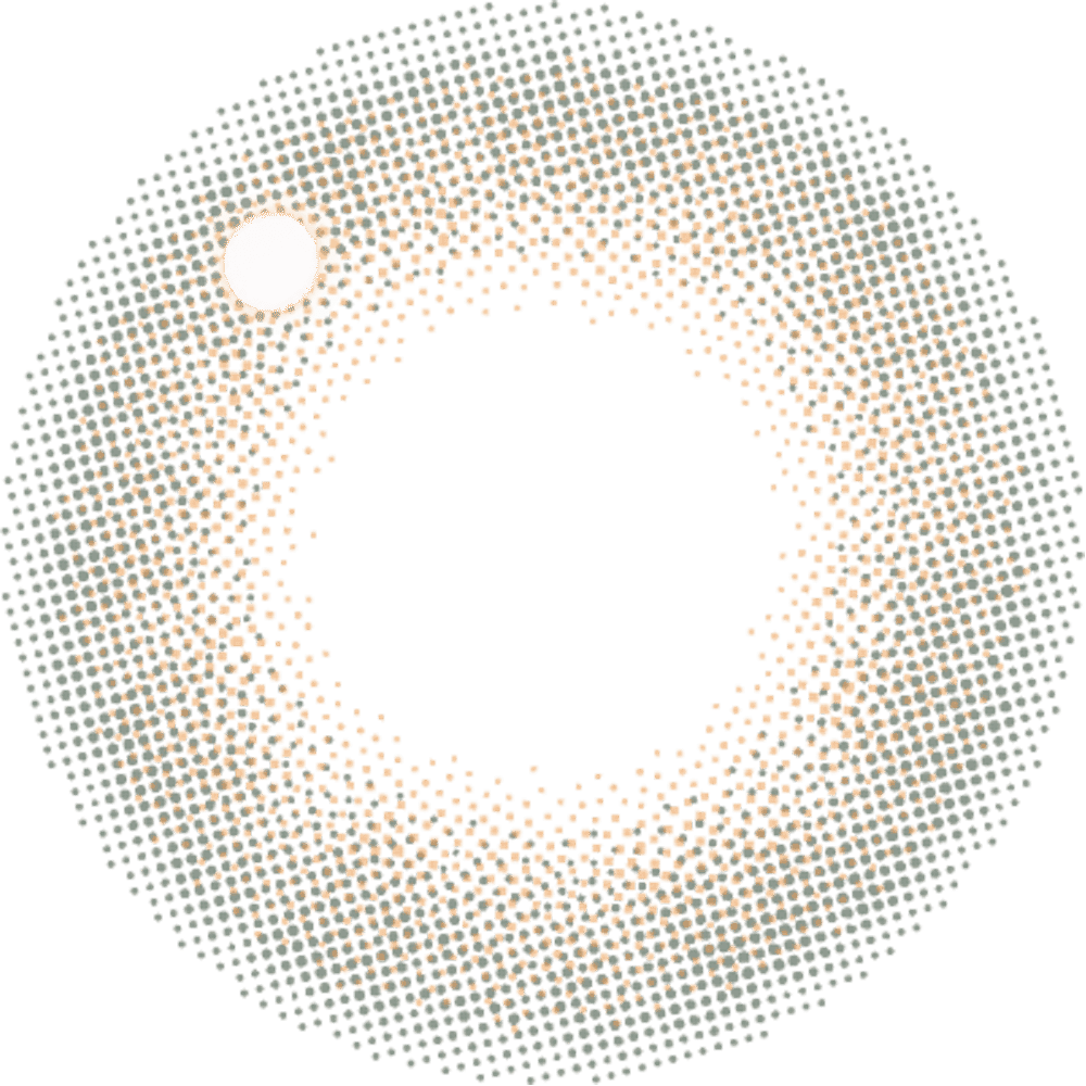 レヴィアワンデー（1箱10枚入）ヘイリー