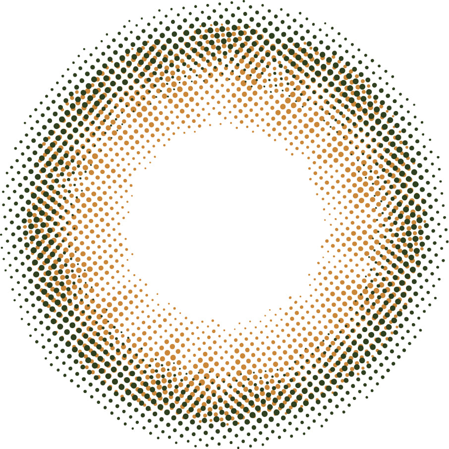 レヴィア ブルーライトバリア ワンデー（1箱10枚入）フレアバリア