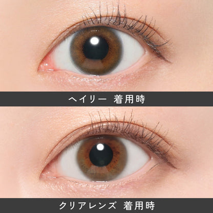 レヴィアワンデー（1箱10枚入）ヘイリー