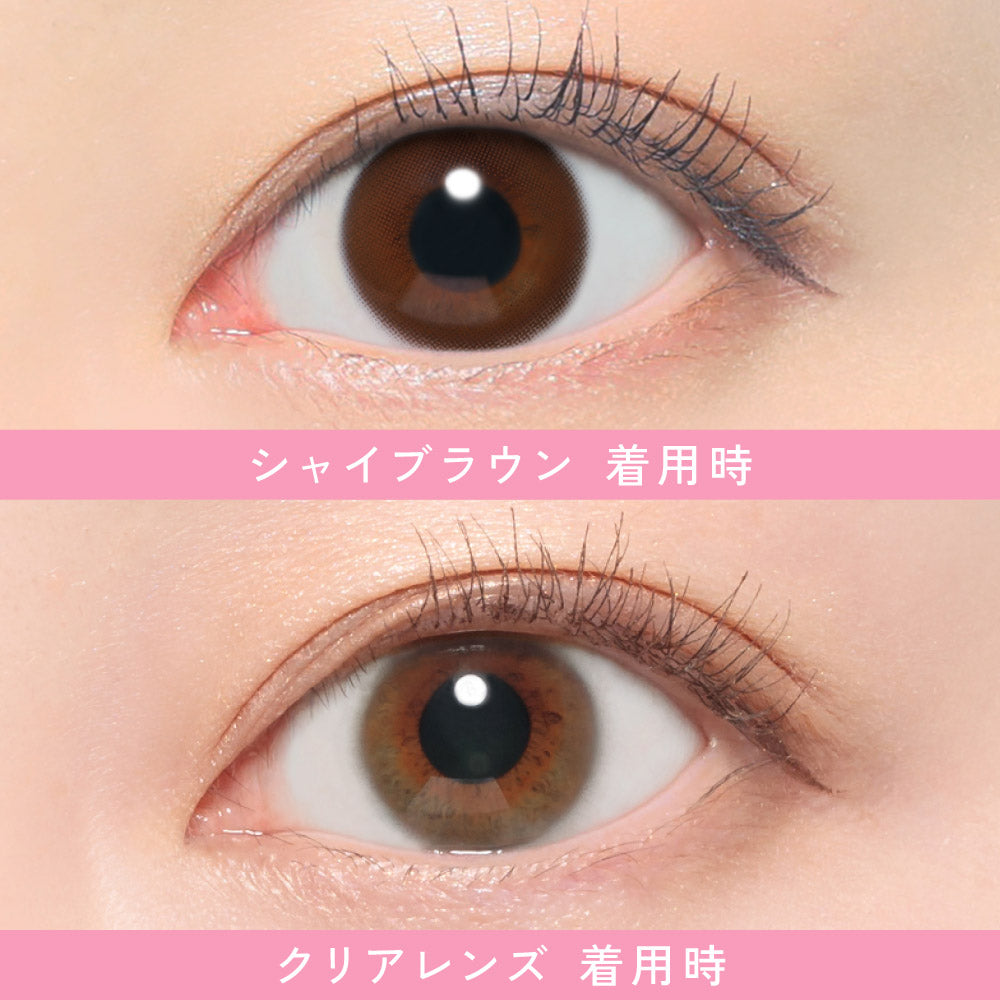 レヴィアワンデー（1箱10枚入）シャイブラウン