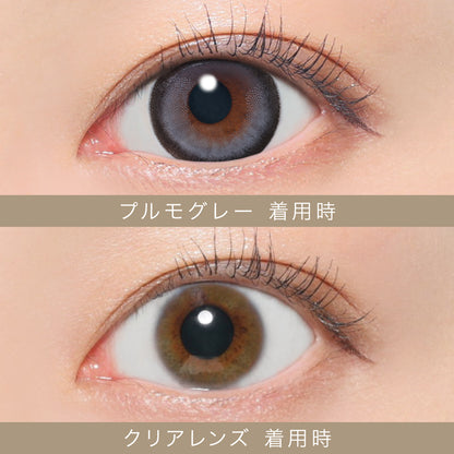 シークレットキャンディーマジックワンデー（1箱20枚入）プルモグレー