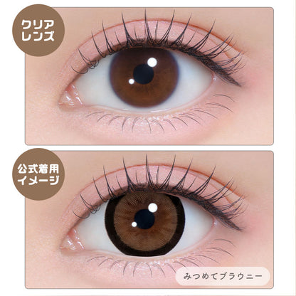 シャプン （1箱10枚入）みつめてブラウニー