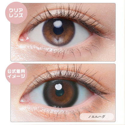 チューズミー（1箱10枚入）ノエルハグ