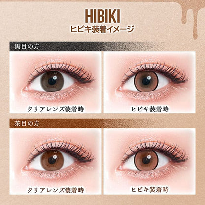 カラーズ（1箱2枚入）ヒビキ