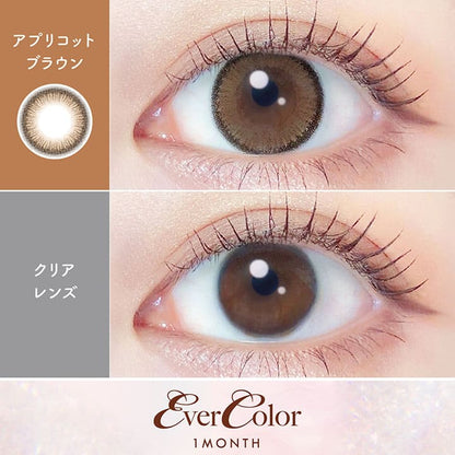 エバーカラーマンスリー（1箱2枚入）アプリコットブラウン