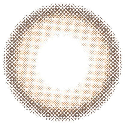 エバーカラーワンデー ナチュラル（1箱20枚入）クリアキャメル