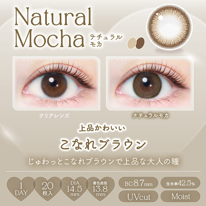 エバーカラーワンデー ナチュラル（1箱20枚入）ナチュラルモカ