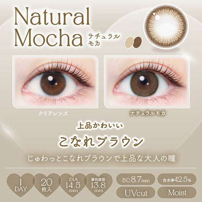 エバーカラーワンデー ナチュラル（1箱20枚入）ナチュラルモカ
