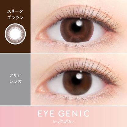 アイジェニック（度なし：1箱2枚入）スリークブラウン