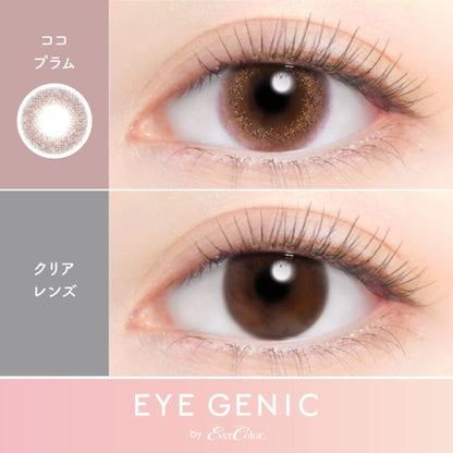 アイジェニック（度あり：1箱1枚入）ココプラム