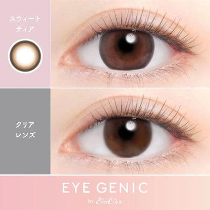 アイジェニック（度なし：1箱2枚入）スウィートティア