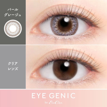 アイジェニック（度あり：1箱1枚入）パールグレージュ