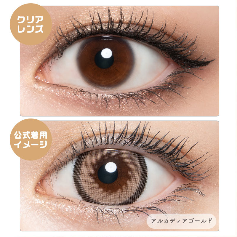 ラヴェール （1箱10枚入）アルカディアゴールド