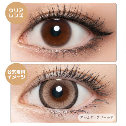 ラヴェール （1箱10枚入）アルカディアゴールド