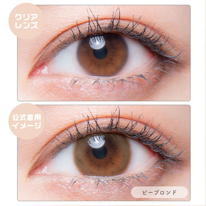 メロット（1箱10枚入）ビーブロンド