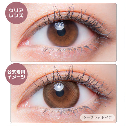 メロット（1箱10枚入）シークレットベア