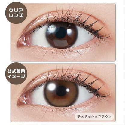 モラクワンデー（1箱10枚入）チェリッシュブラウン