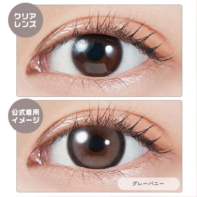 モラクマンスリー（1箱2枚入）グレーバニー