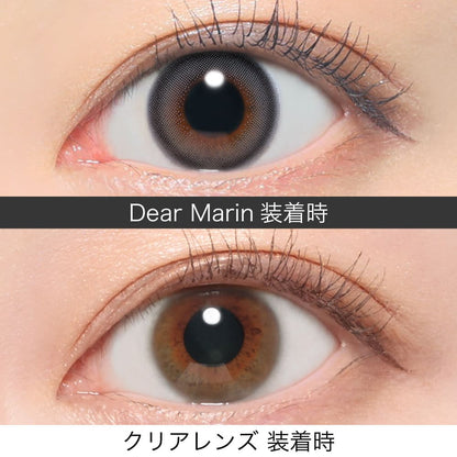 レヴィアワンデー（1箱10枚入）ディアマリン