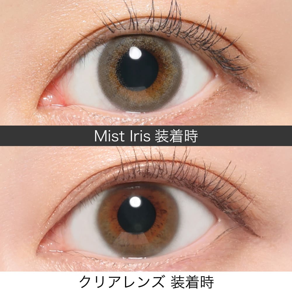 レヴィアワンデー（1箱10枚入）ミストアイリス