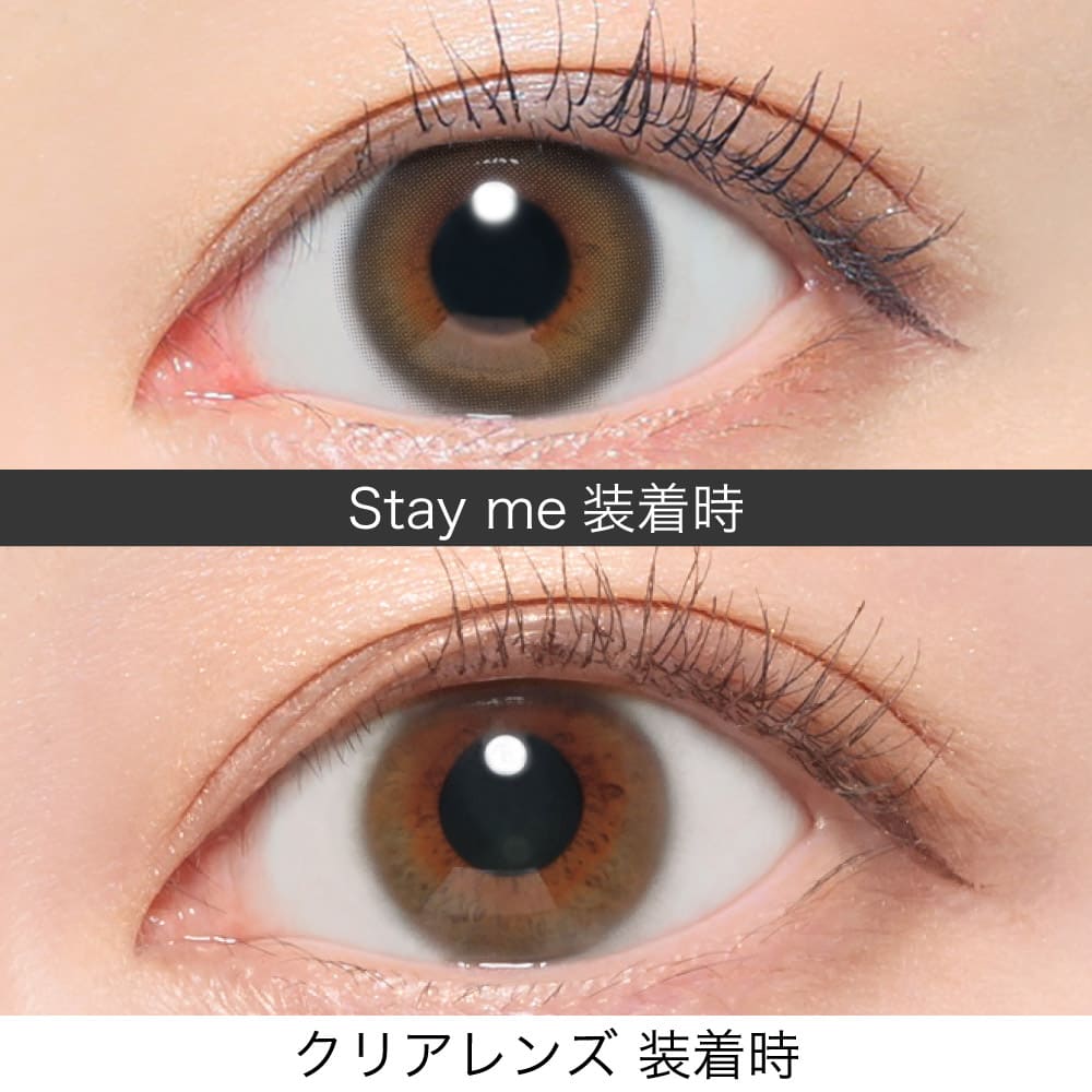 レヴィアワンデー（1箱10枚入）ステイミー