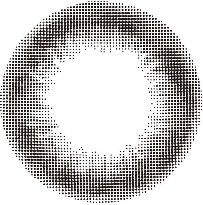 レヴィアワンデー（1箱10枚入）ブラック